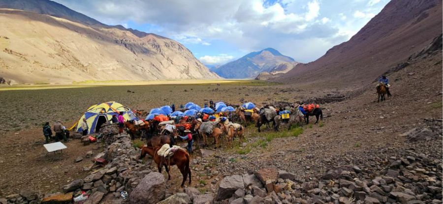 cabalgata de los andes, cruce sanmartiniano, caballos, cordillera de los andes