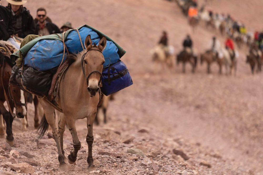 los expedicionarios del cruce de los andes llegaron al límite con chile c